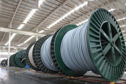 毛利率偏低 新能泰山一季度虧損1412.4萬(wàn)元